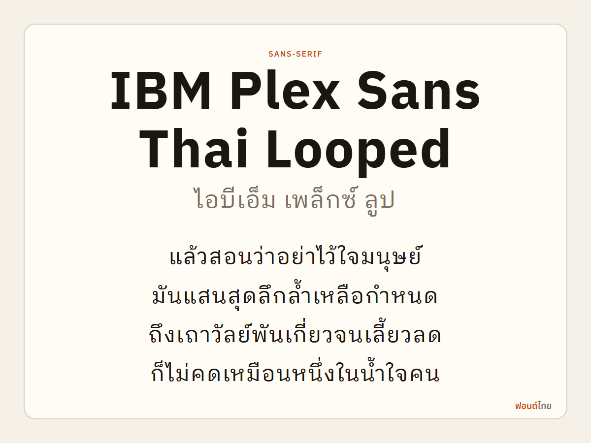 IBM Plex Sans Thai Looped - ตัวอย่างฟอนต์